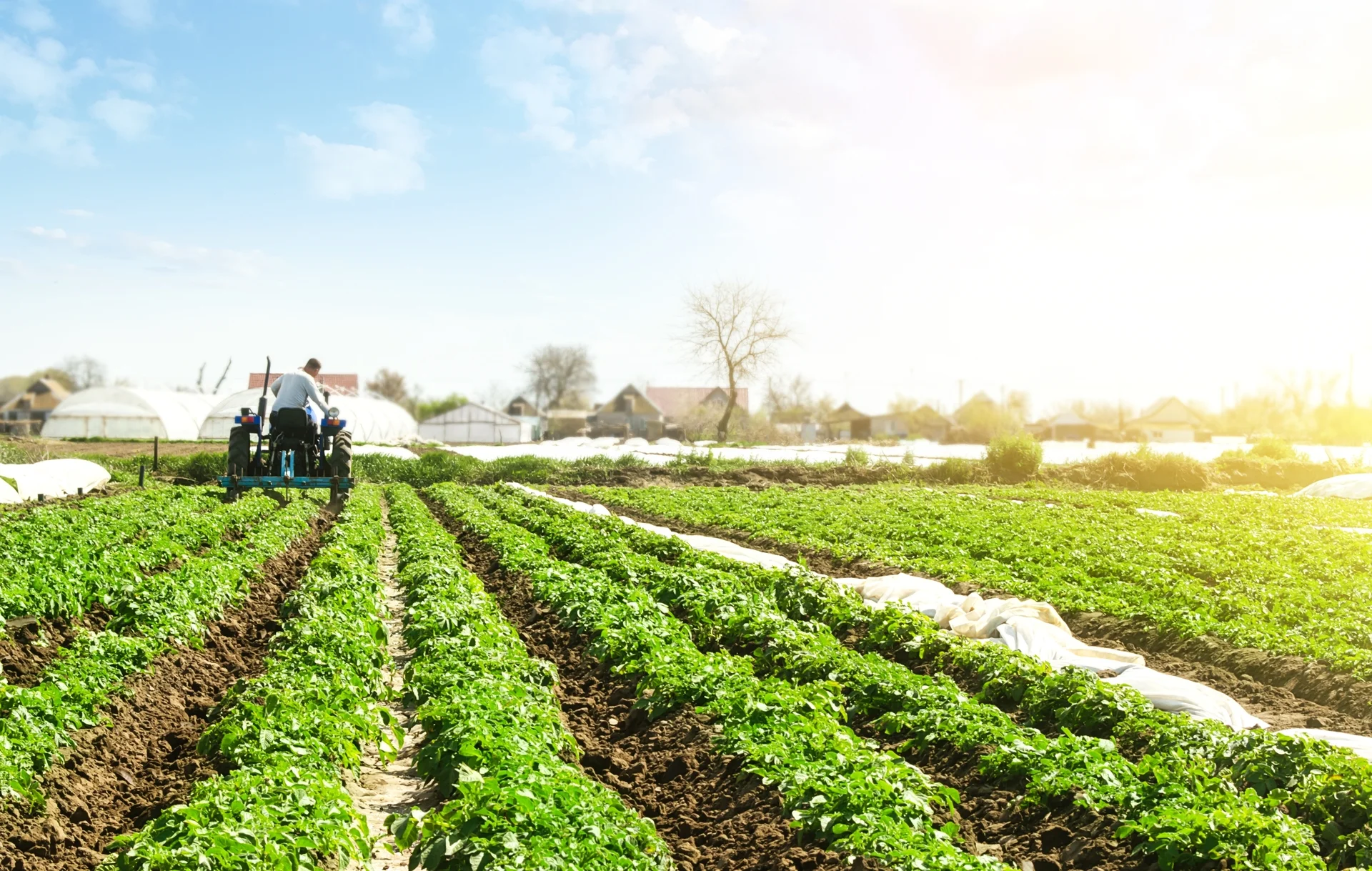 Reforma Tributária e o Impacto para os Produtos Rurais